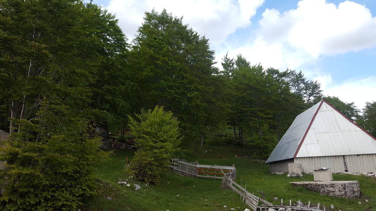 Hawkeye Villa Žabljak Exterior foto